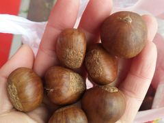 -阿男野栗王(金门路店)