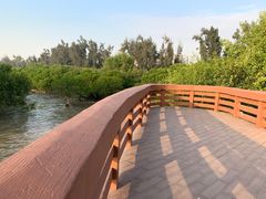 -宝安西湾红树林湿地公园