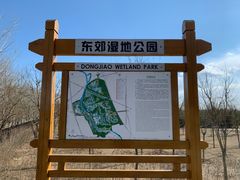 -东郊湿地公园