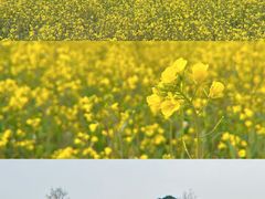 -蜀绣公园