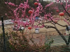 -欢乐松鼠谷
