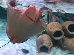 -沈阳海洋探索中心