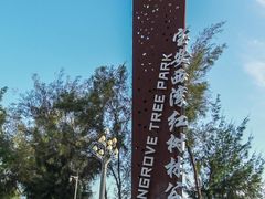 -宝安西湾红树林湿地公园