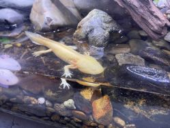 -Zoolung Zoolung动物主题公园(海信广场店)