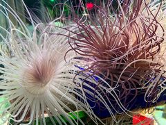 -太平洋海底世界