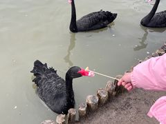 -祥源·阜阳生态乐园