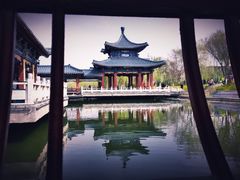 -雁滩公园
