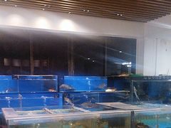 -华南师范大学石牌校区陶园