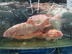 -果蔬好生活超市(东湖店)