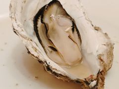 扇贝&nbsp;生耗-宾朋海鲜饭庄(兴海路店)