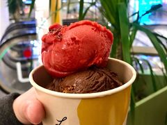 树莓雪葩-LUNEURS月乐诗 冰淇淋咖啡(环贸店)