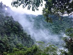 景点-东天目山风景区
