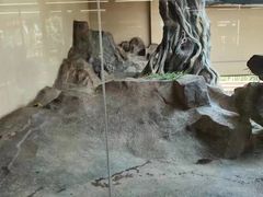 -宁波野生动物园