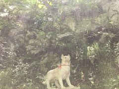景点-太平万花山景区
