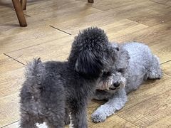 -观桥阁(锦溪店)