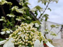 -慈城古县城景区