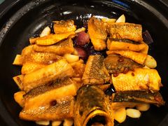 砂锅焗大黄鱼-骏莱海鲜鱼港(五角场店)