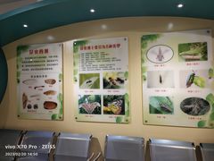 -上海昆虫博物馆