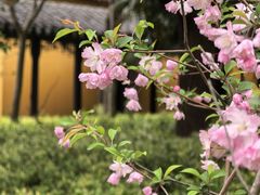 -海天禅寺