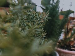 -悦哉·派对·草坪婚礼·围炉煮茶(三圣乡店)