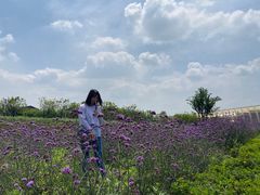 -中国天府农业博览园