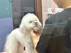 -FAELING PETS美天灵宠物(富力广场店)