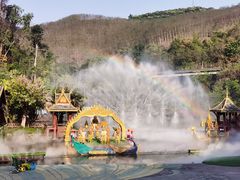 -西双版纳原始森林公园