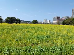-光明小镇欢乐田园