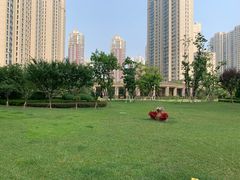 -红星渔村(将军石店)