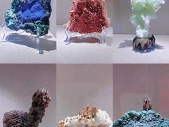 -陕西自然博物馆