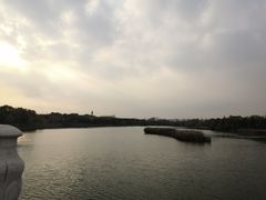 -丰台科技园生态主题公园