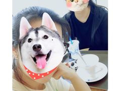 -Blueglass酸奶(财富购物中心店)