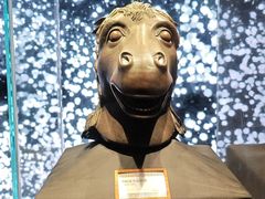 -北京世纪金源购物中心(远大路店)