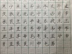 -赵汝飞练字(南京路国际贸易中心校区)