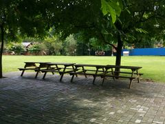 -南宁良凤江国家森林公园