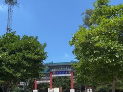 -云岗森林公园