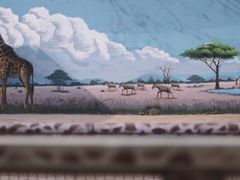 -昆明动物园