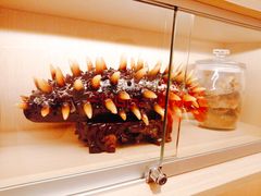 -郑春發佛跳墙(三迪中心店)