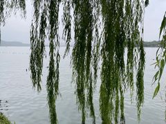 -浙江西子宾馆·瑶园咖啡厅