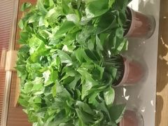 -胖锅轩(水塔店)