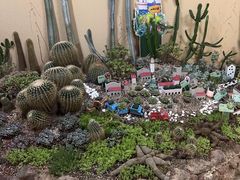 -正佳雨林生态植物园