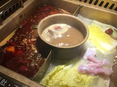 -大渝火锅(苏州西城永捷店)