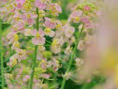 -中国天府农业博览园