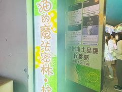 -猫的魔法密林(衣裳街店)