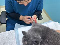 -天宠宠物医院24小时·急重症诊疗中心·全科·腔镜特色(和平分院)