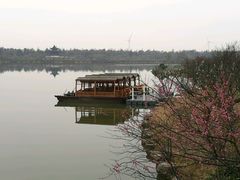 梅园-上海海湾国家森林公园