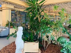 -云里小坐·海泉湾·团建·宴席·下午茶(金堂海泉湾店)