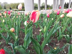 -长春公园(普阳街道)