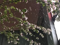 -湘人龙记老长沙米粉(鸟巢店)