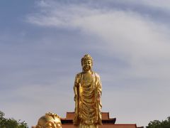 -红光山景区